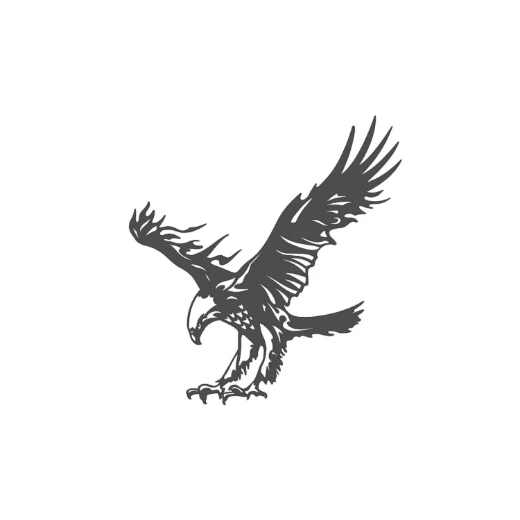naklejka-orzel-2-grafitowa.jpg