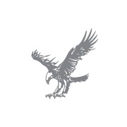 naklejka-orzel-2-szara.jpg