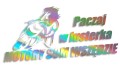naklejka paczaj w lusterka holograficzna.jpg