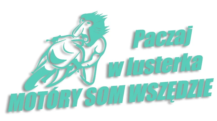 naklejka paczaj w lusterka mietowa.jpg