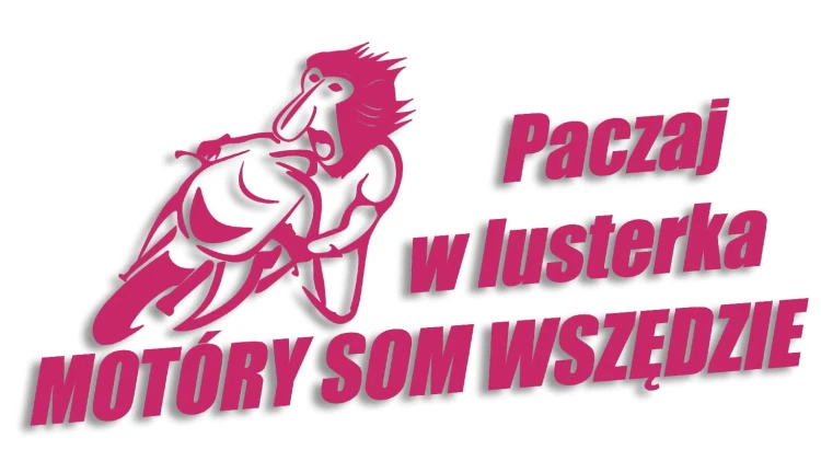 naklejka paczaj w lusterka rozowa.jpg