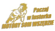 naklejka paczaj w lusterka zlota.jpg
