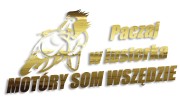 naklejka paczaj w lusterka zloty chrom.jpg