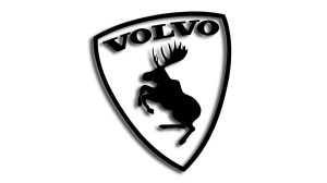 Łoś Volvo