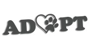 naklejka adopt adoptuj kot pies grafitowa.jpg