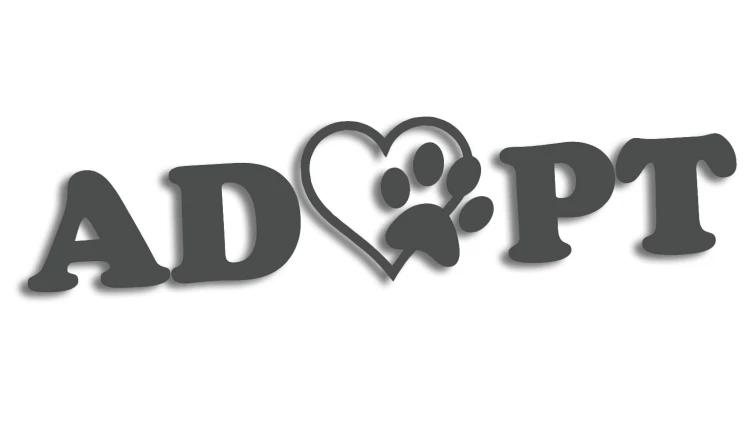 naklejka adopt adoptuj kot pies grafitowa.jpg